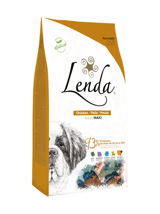 Saco de Lenda Chicken